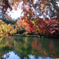紅葉の名所、軽井沢の雲場池が素敵でした