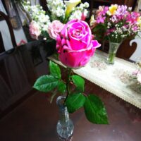 Happy Valentines day !!
