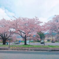 ★GW休業のお知らせ★