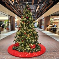 恵比寿ガーデンプレイスのライトアップ！！