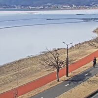 結婚相談所をアチコチと渡り歩く人