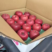 安曇野でりんご園経営する若々しい男性