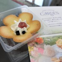 姉のために大阪からご挨拶に来てくださった妹さんご夫婦