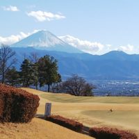 大吉を求めて諏訪大社から身曽岐神社へ