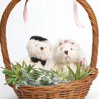 婚活をがんばっている人たちとの面談