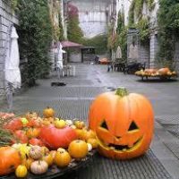 🎃HappyHalloween🎃　安上りな婚活必勝アイテムって？